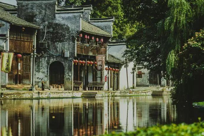 白色森林逃脱