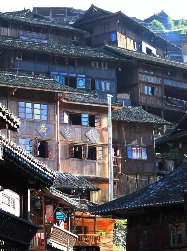 除虫大师